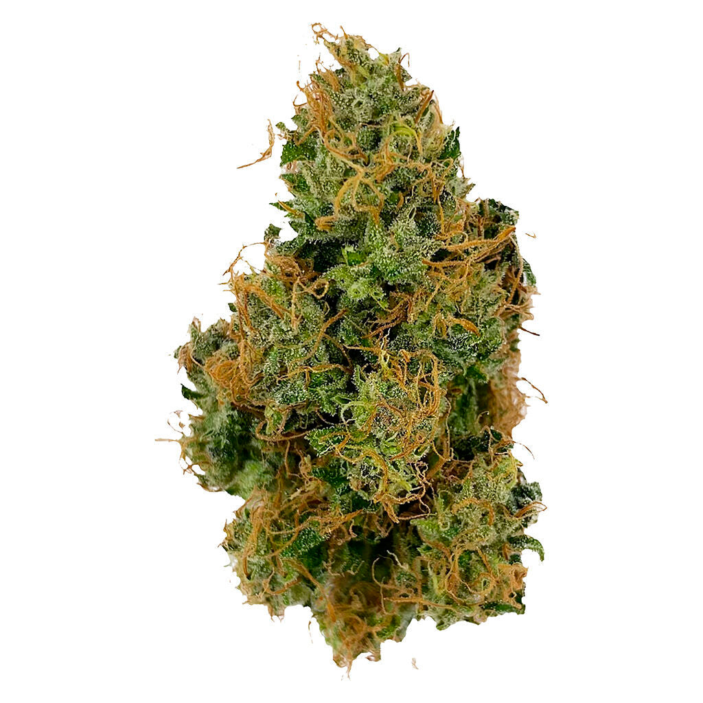 BULLRIDER AFGHANI BULLRIDER (H) DRIED - 3.5G