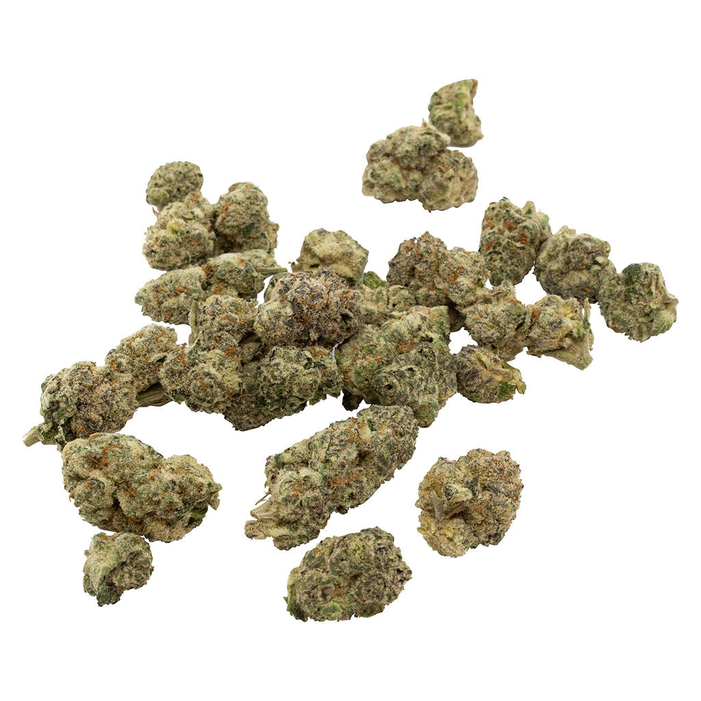 COMMUNITY X PURPLE HILLS CHANCE (H) DRIED - 7G