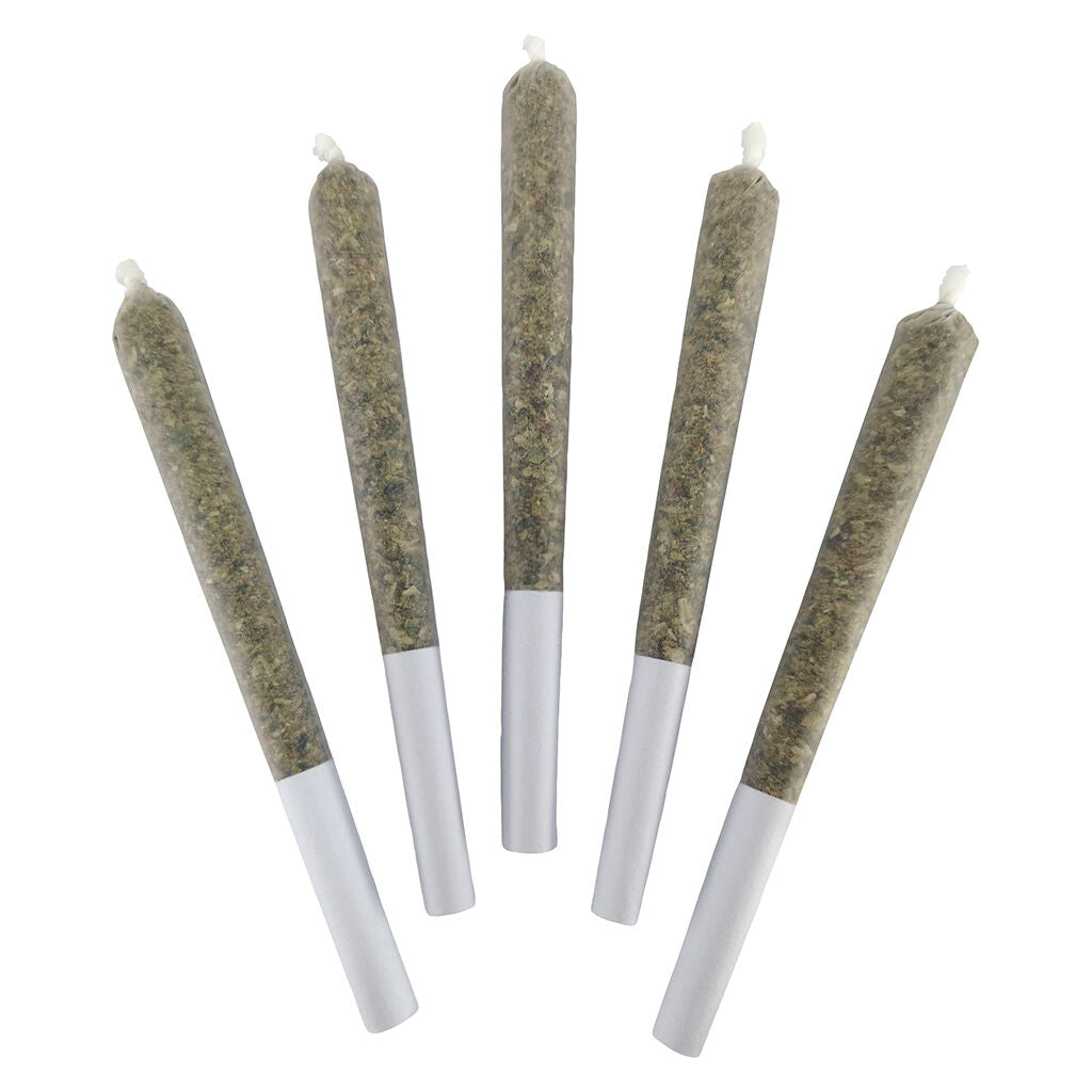 DEALR GALACTICA OG (IND) PRE-ROLL - 0.5G X 5