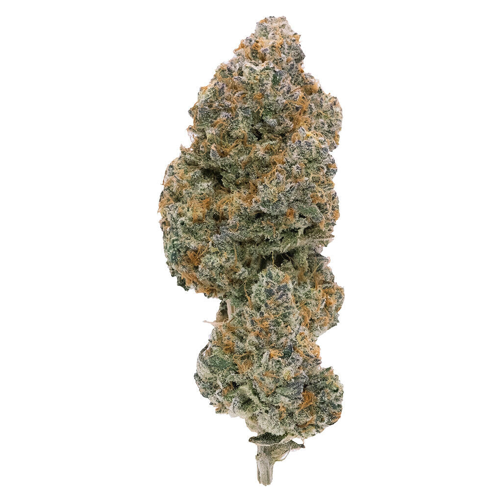 NORTHERN CANNA MODIFIED SUPERSONIC (IND) DRIED - 7G