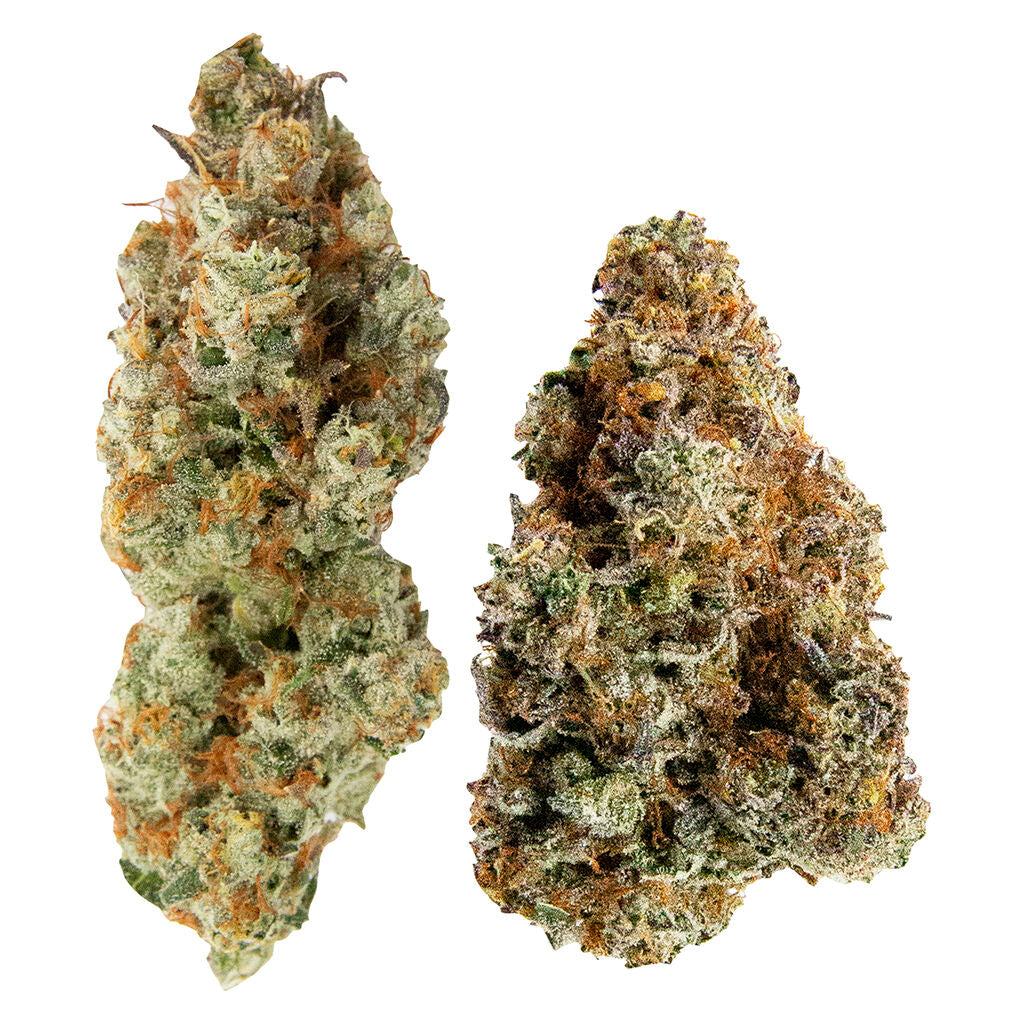 NORTHERN CANNA X MINISTRY OF SATIVA YIN YANG (H) DRIED - 14G