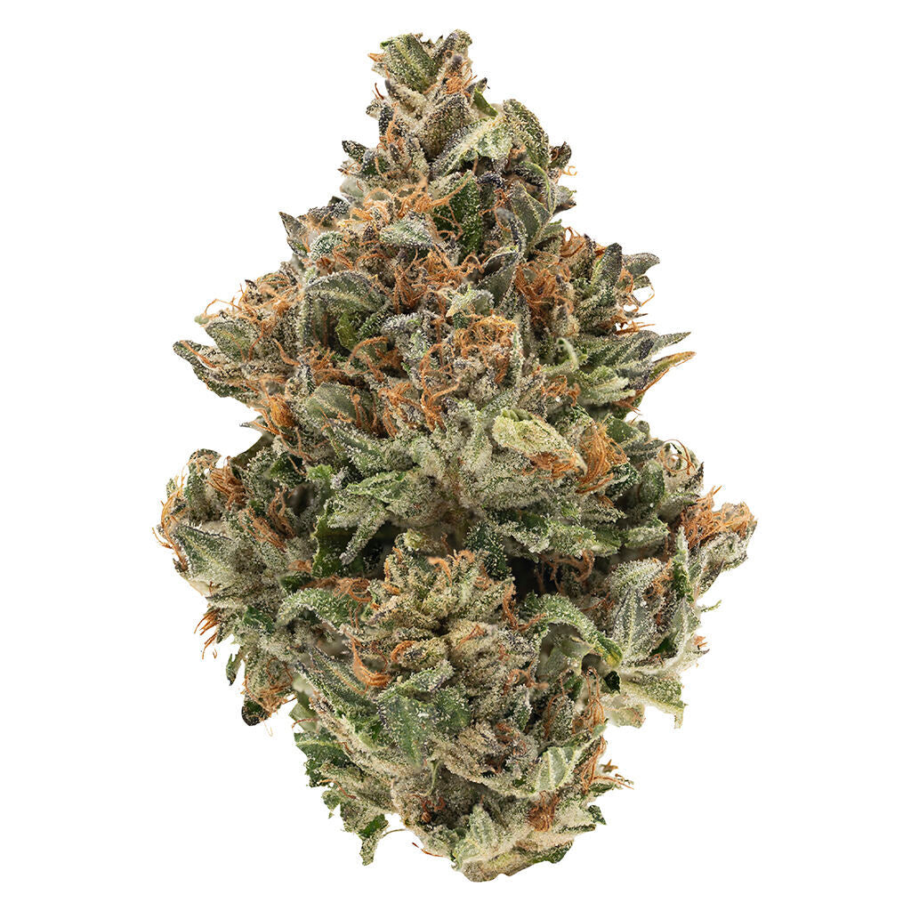 SIMPLY BARE BC ORGANIC FIRE OG (IND) DRIED - 28G