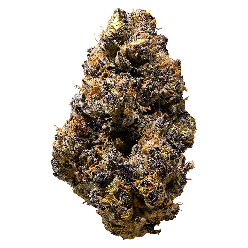 3RD COAST GENETICS GOLD CASH GOLD (IND) DRIED - 7G