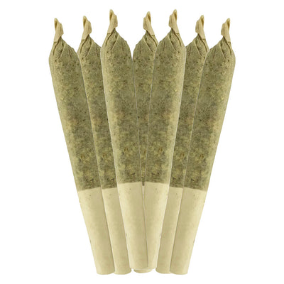 SHEEESH KEY LIME PIE (IND) PRE-ROLL 0.5G X 7