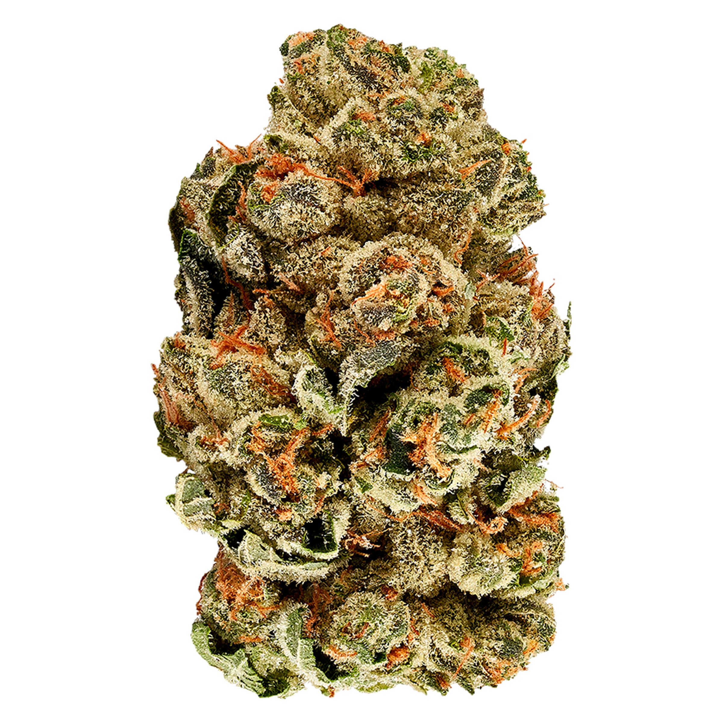 3SAINTS KUSH COOKIES (IND) DRIED - 14G