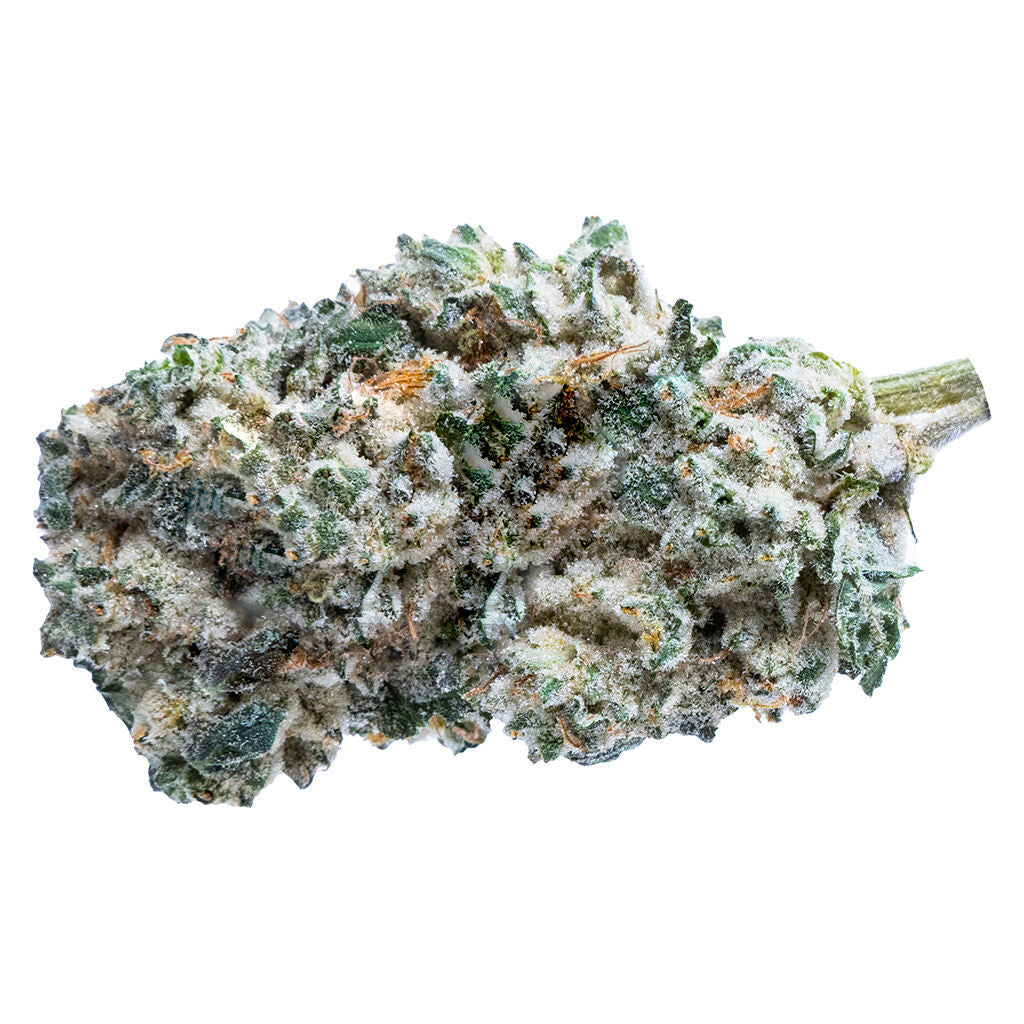 FRASER VALLEY KUSH BREATH (IND) DRIED - 28G