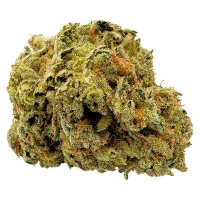 VIOLA 1ST QUARTER SATIVA (S) DRIED - 7G