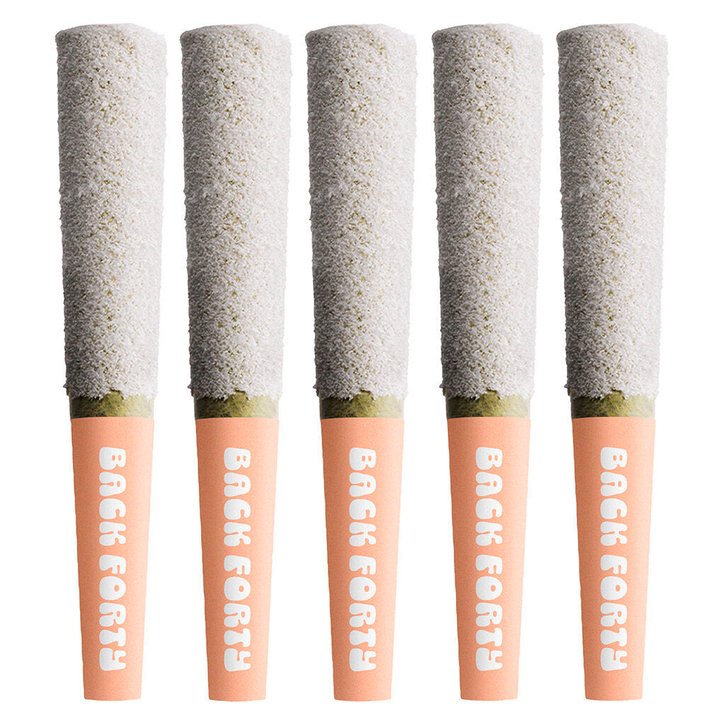 BACK FORTY FROSTED ICI PEACH LMONADE (S) INF PRE-ROLL 0.5GX5