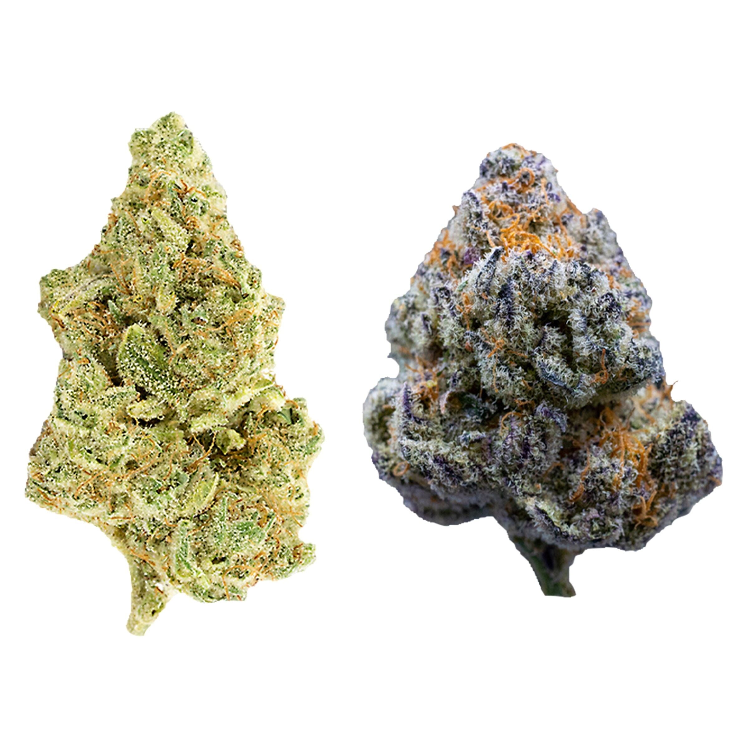 ROSIN HEADS THE BREAD BAG (H) DRIED - 3.5G X 2