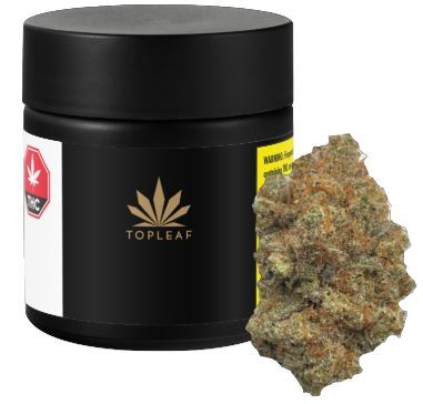 TOP LEAF SECOND BREAKFAST (IND) DRIED - 7G