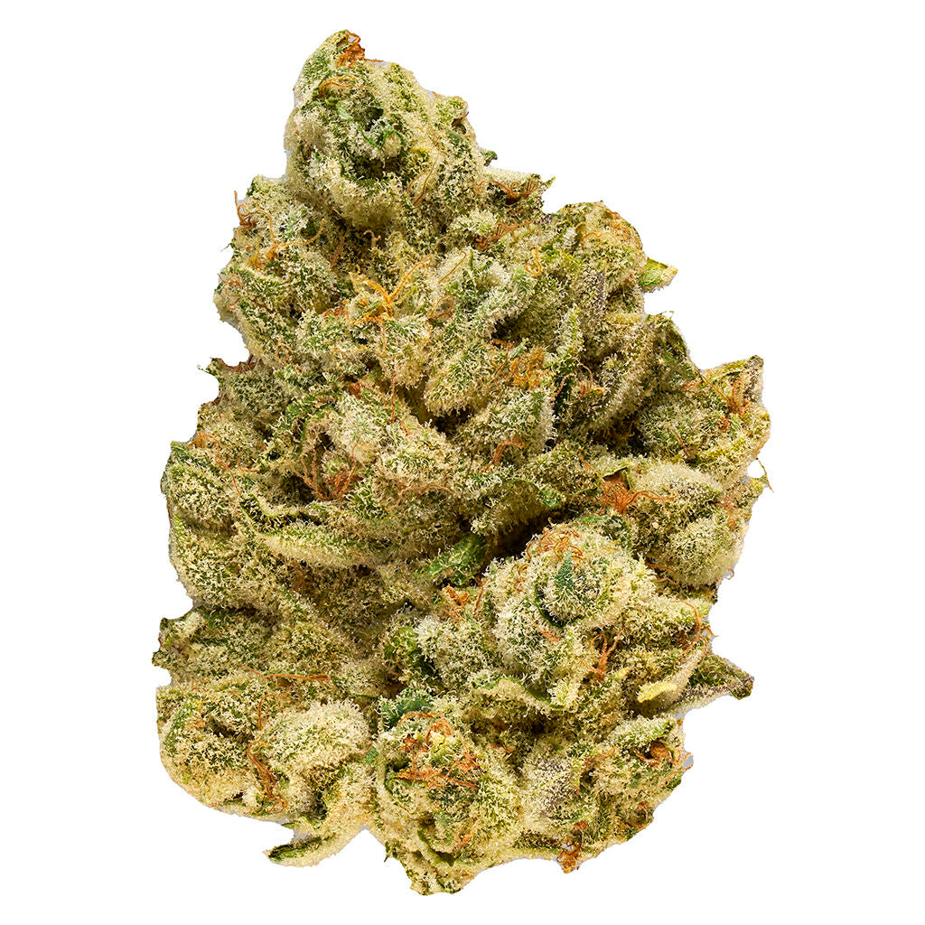 BROKEN COAST EMERGENZ (S) DRIED - 28G