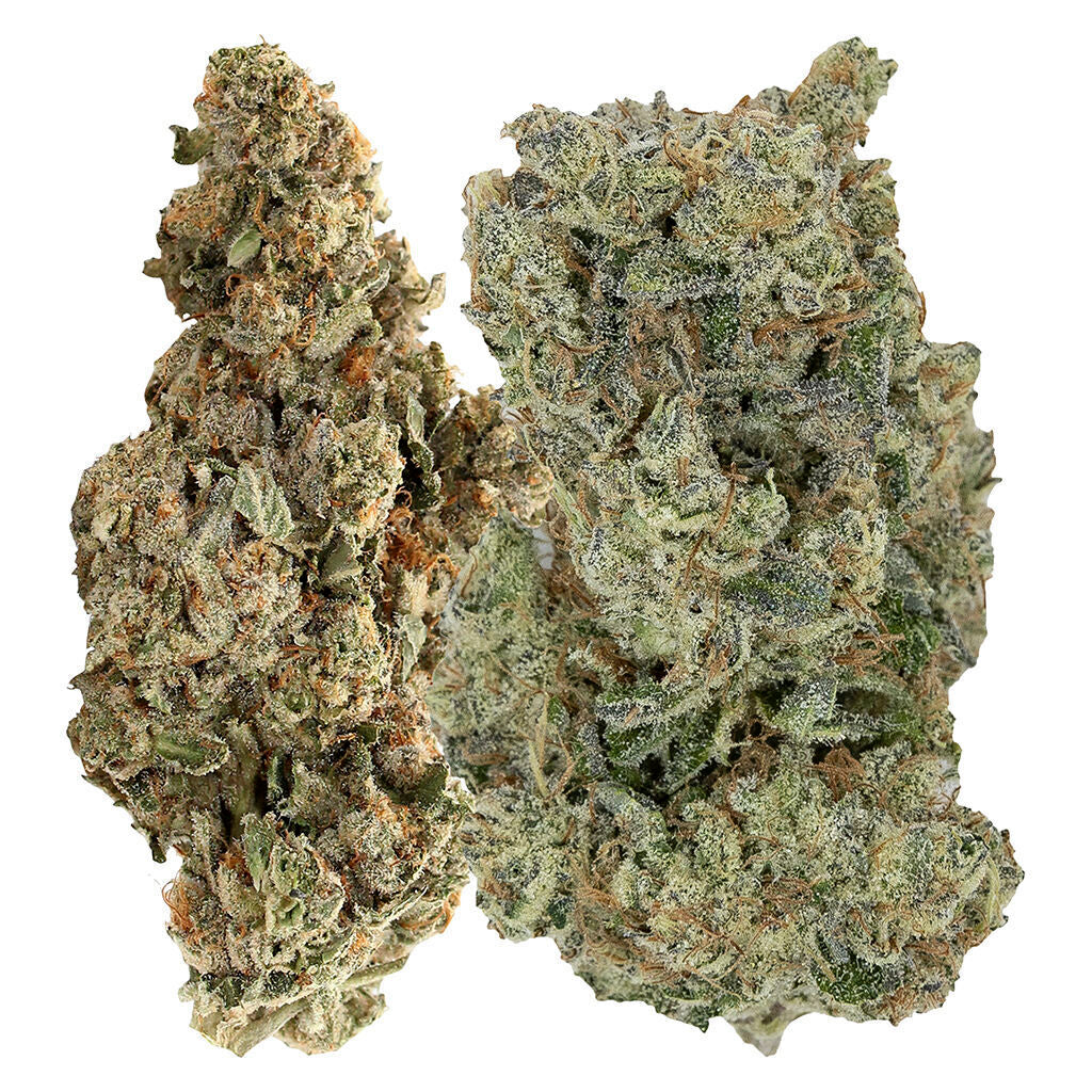 PISTOL AND PARIS FLAVOURS ROTATING (H) DRIED - 7G