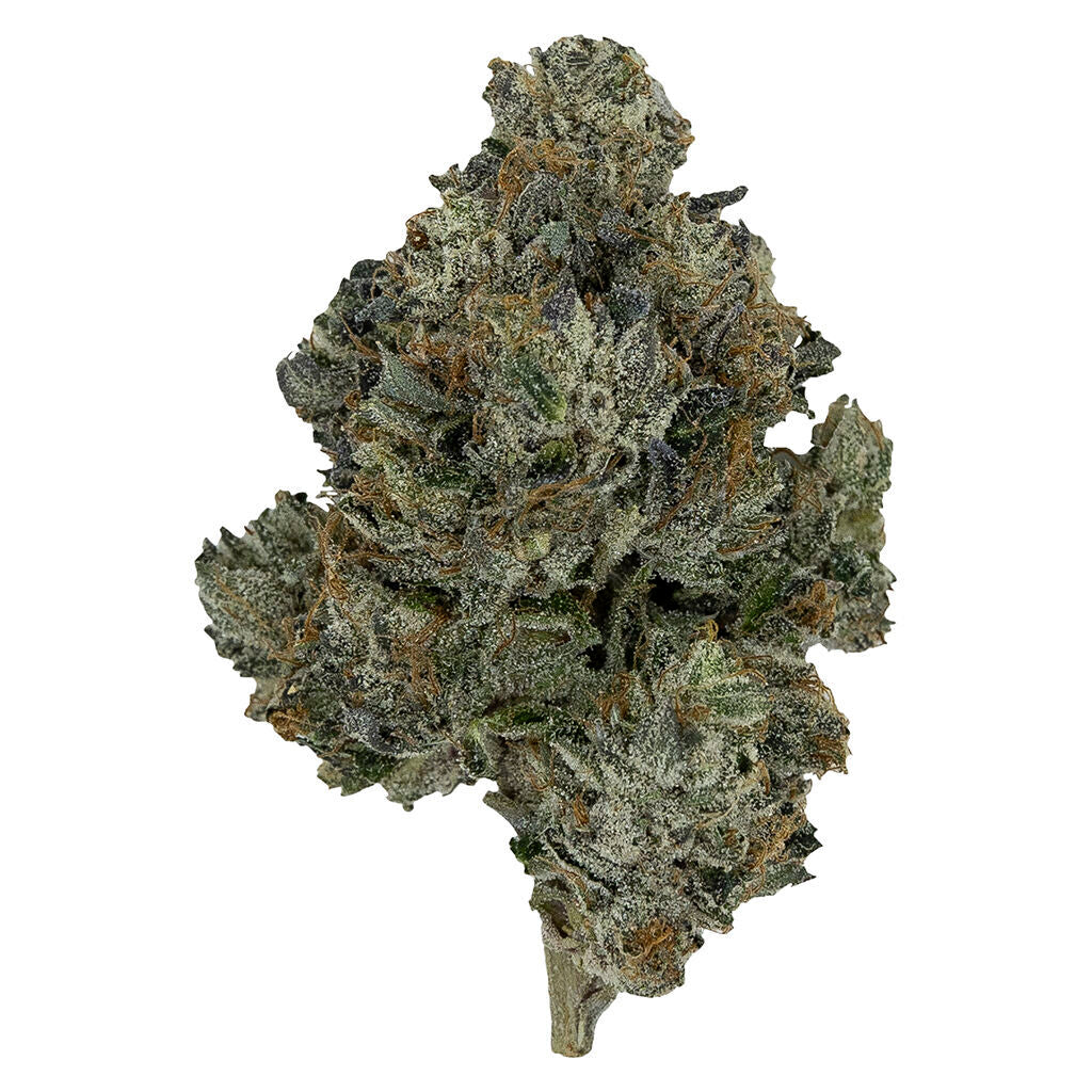 PISTOL AND PARIS DEATH BUBBA (IND) DRIED - 7G