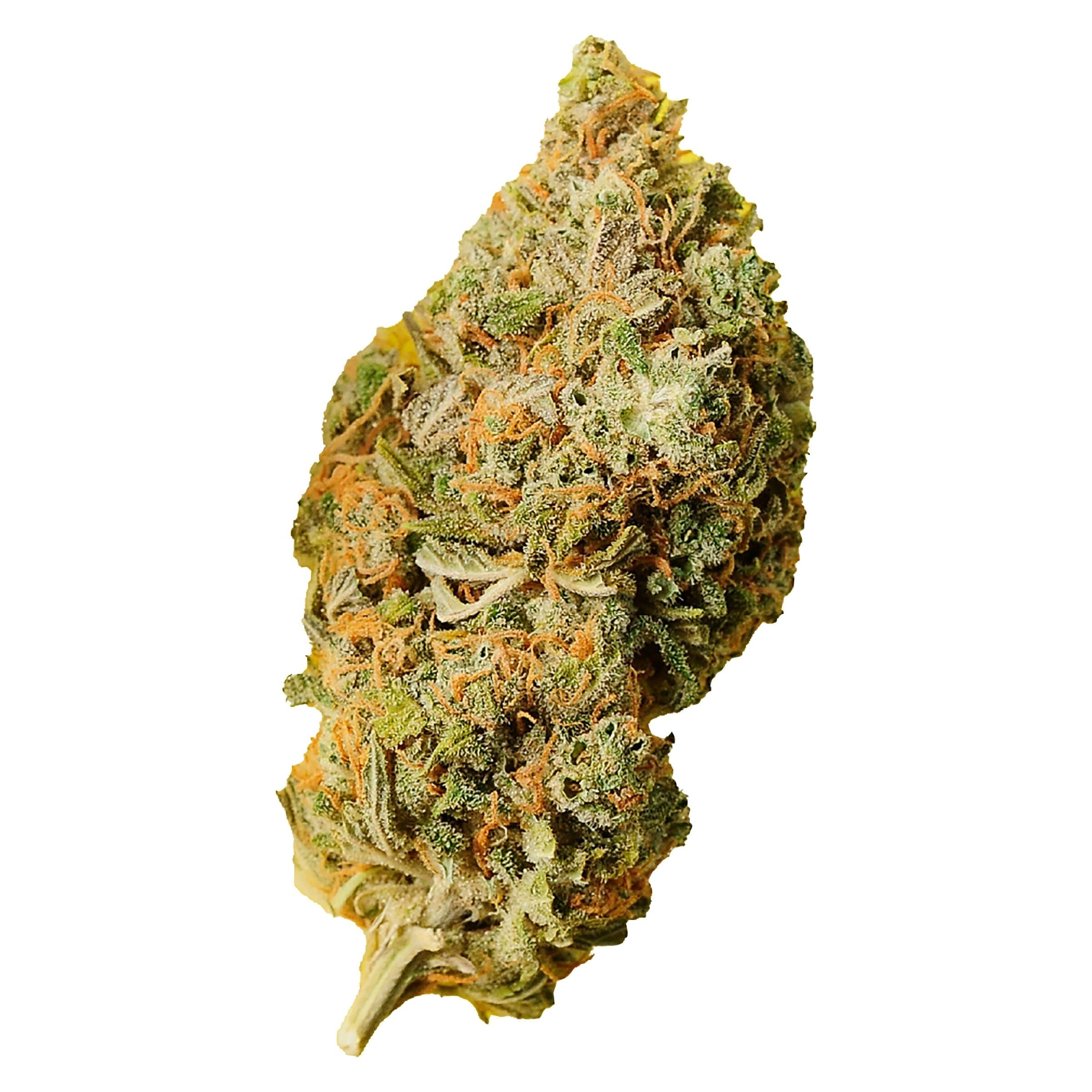 PALMETTO ORANGE BUD (IND) DRIED - 7G