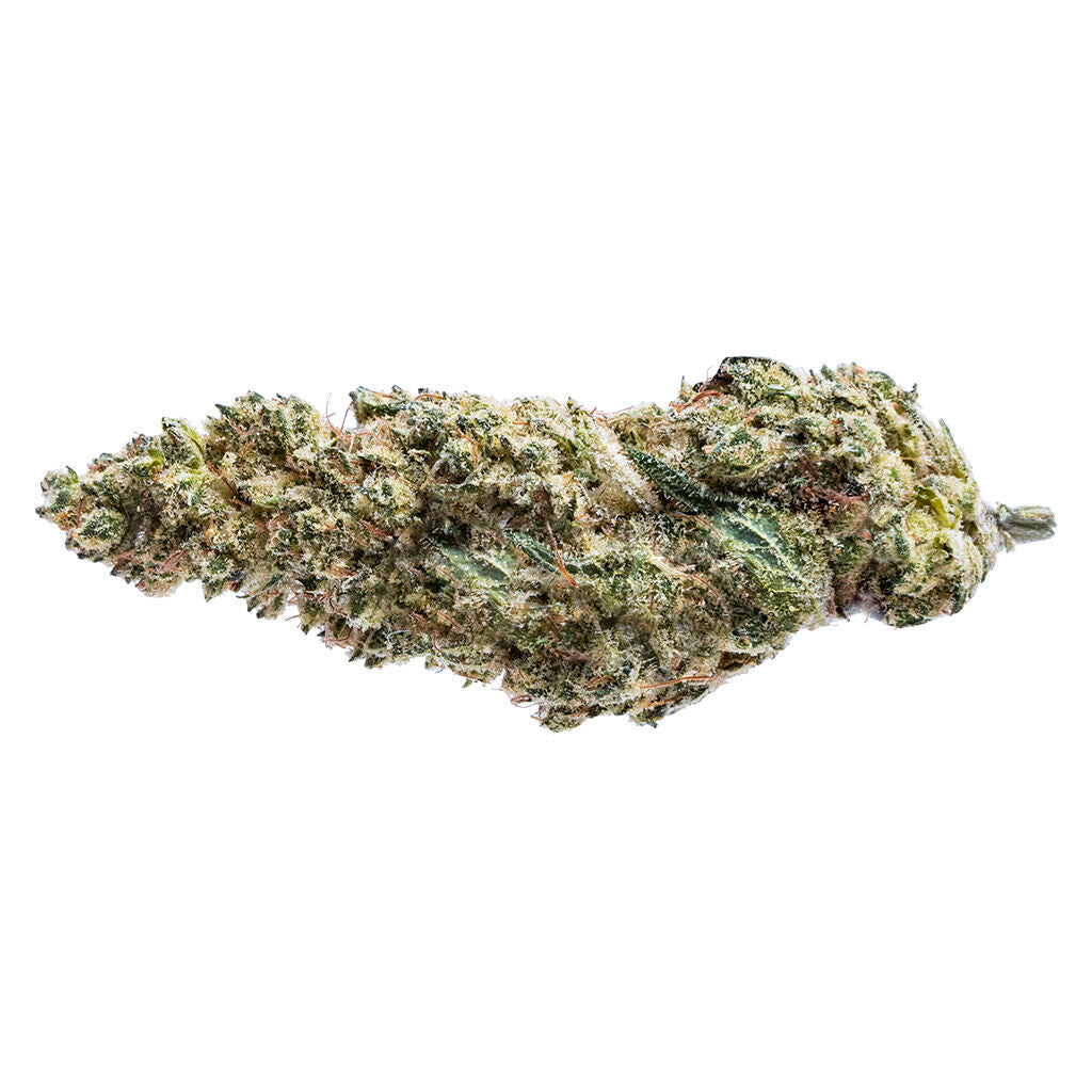 PURE SUNFARMS BLUE DREAM 16 (S) DRIED - 28G