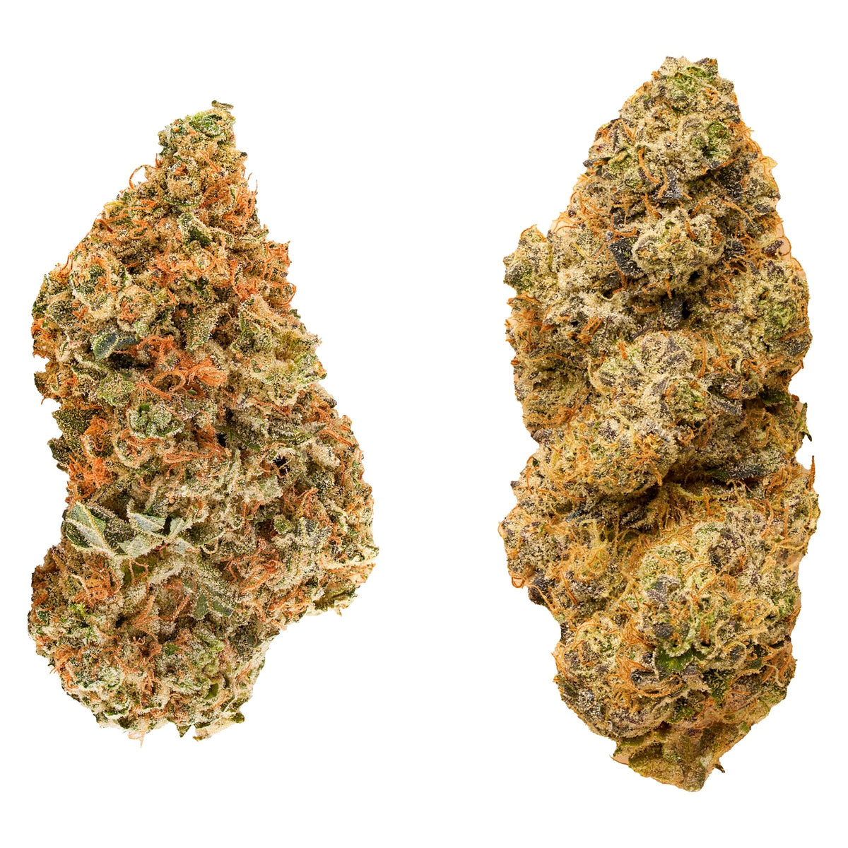 REDECAN TASTER SERIES VARIETY PACK (H) DRIED - 14G X 2