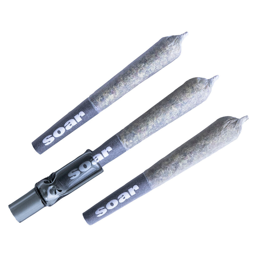 SOAR BRAIN CAKE GLASS TIP (S) PRE-ROLL - 0.5G X 3