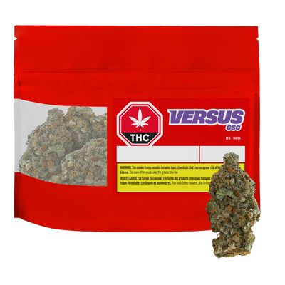 VERSUS GIRL SCOUT COOKIES (IND) DRIED - 28G