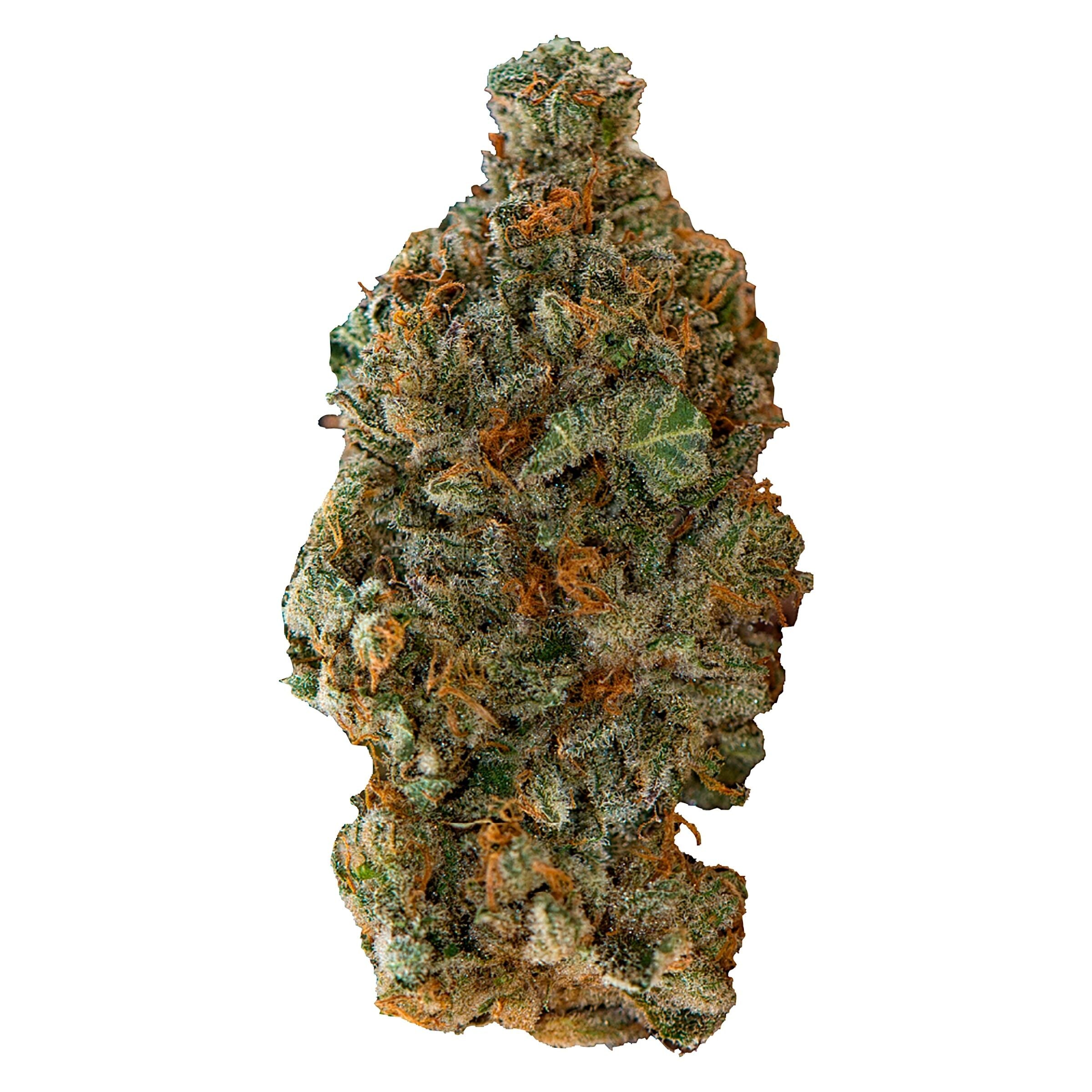 VERSUS GIRL SCOUT COOKIES (IND) DRIED - 28G
