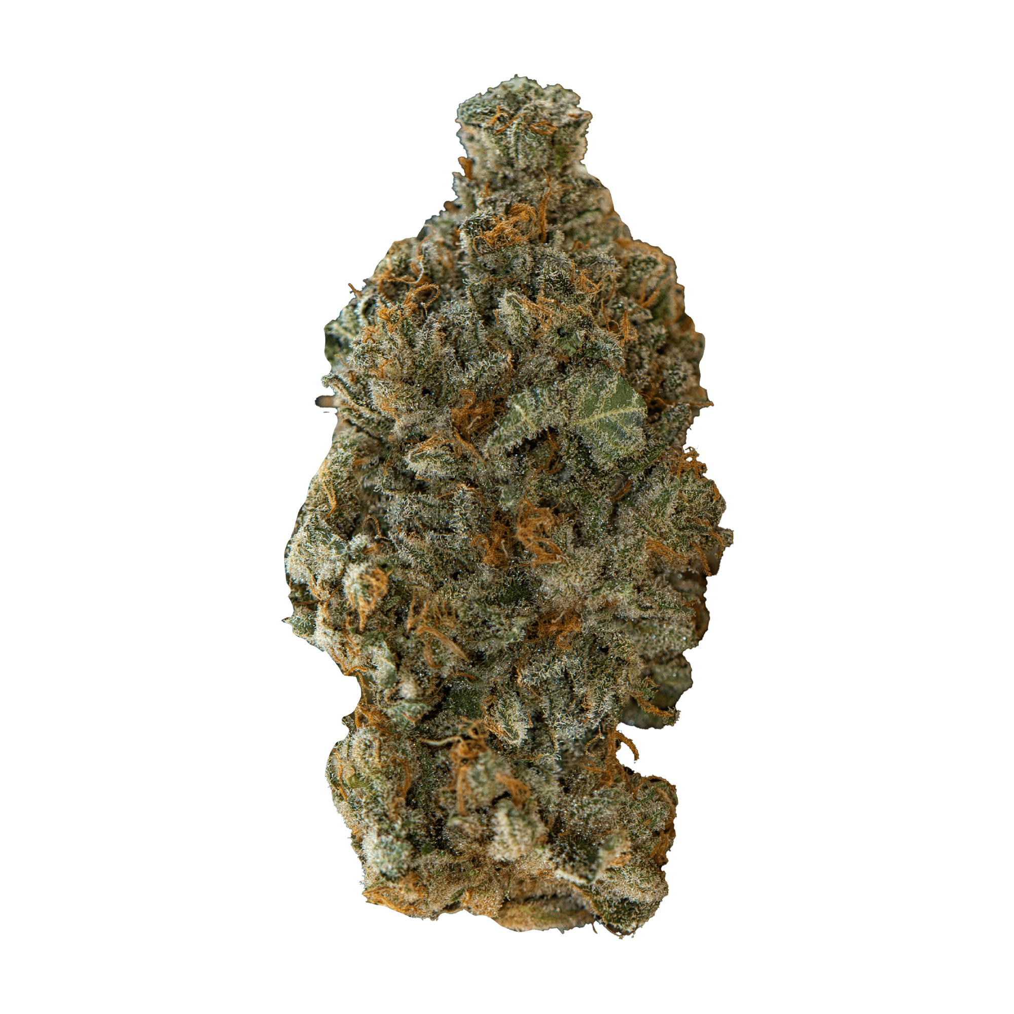 VERSUS GIRL SCOUT COOKIES (IND) DRIED - 28G