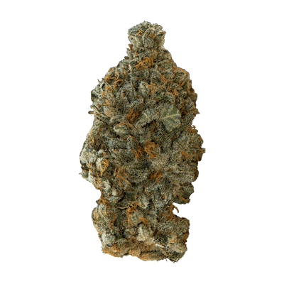 VERSUS GIRL SCOUT COOKIES (IND) DRIED - 28G