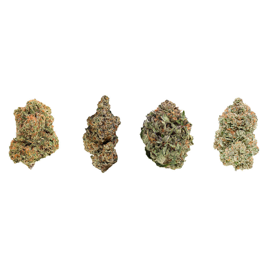 1964 MIX N MATCH VARIETY PK (H) DRIED - 3.5G X 4