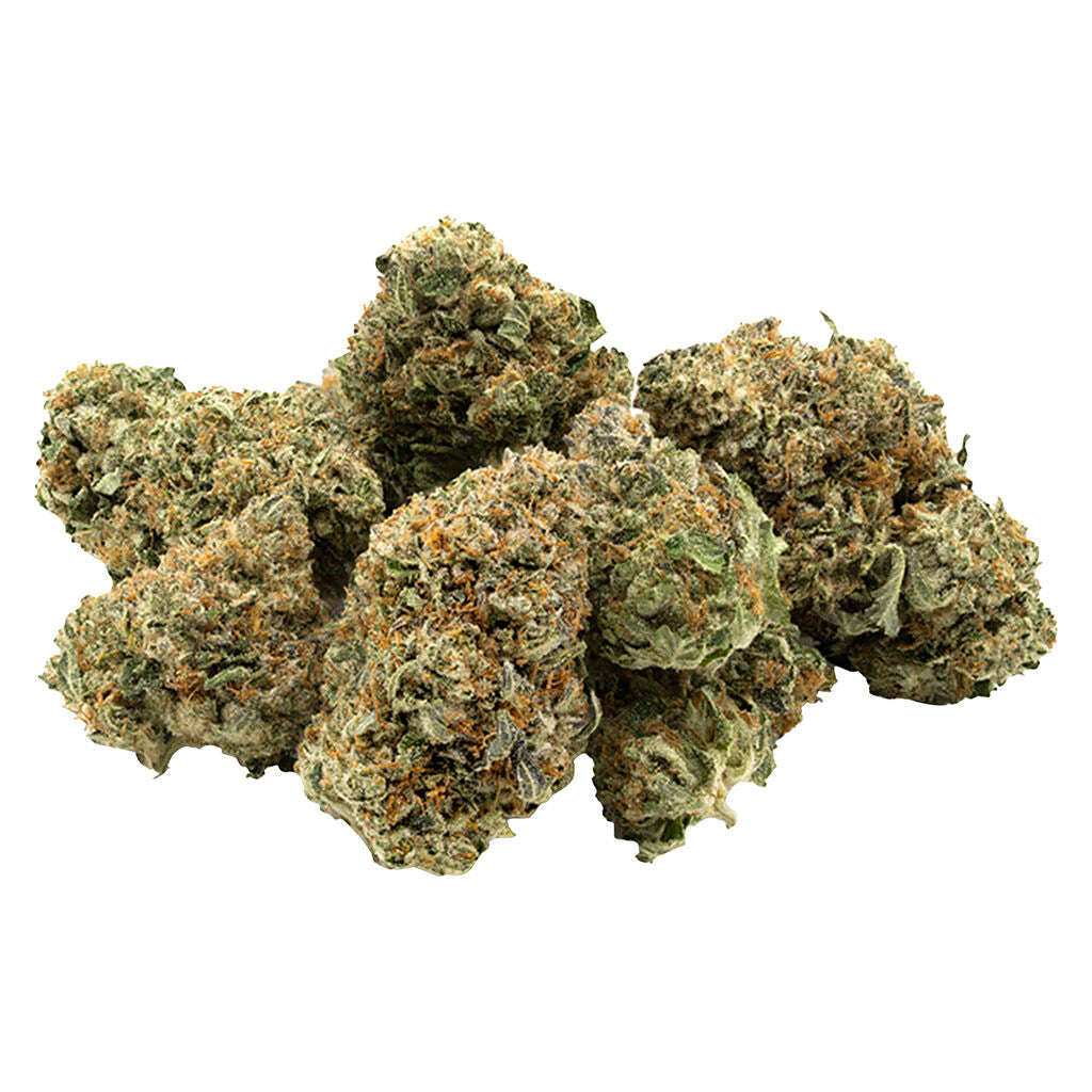 1964 COMATOSE (IND) DRIED - 28G