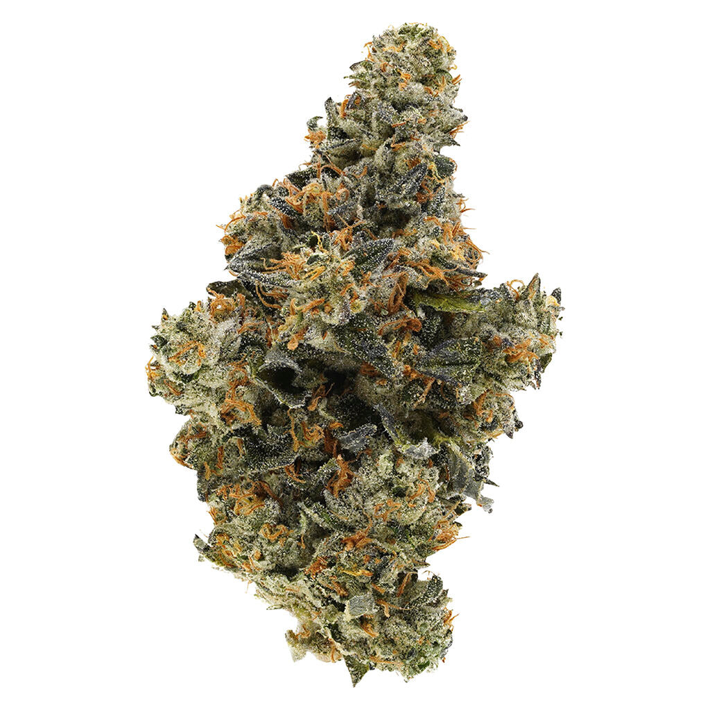 SIMPLY BARE BC ORGANIC HOLLYWOOD MAC (IND) DRIED - 14G