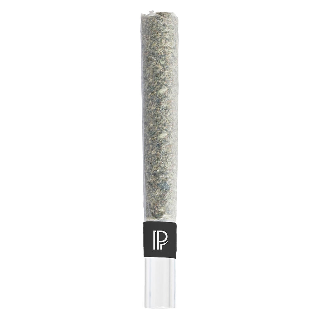 PISTOL AND PARIS BUBBLE HASH (IND) INF PRE-ROLL 1G X 1