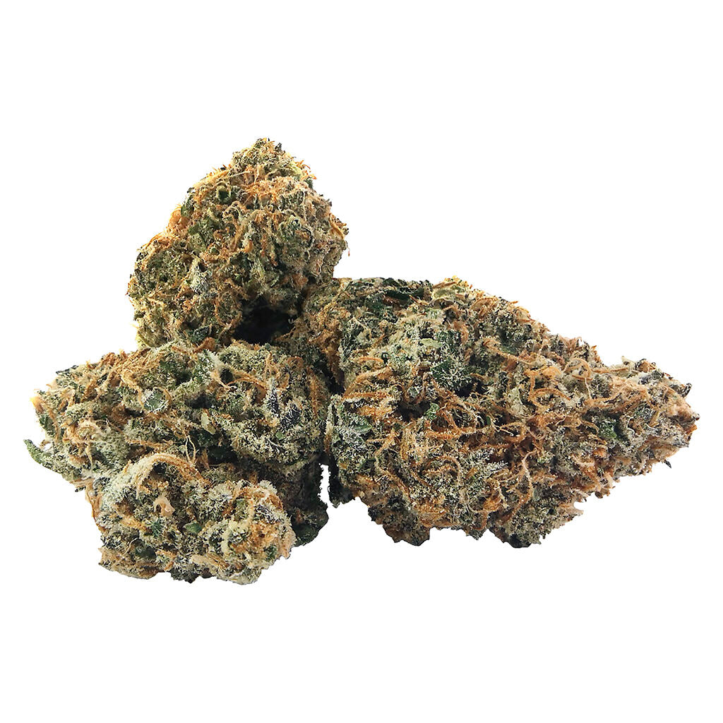PISTOL AND PARIS HAWAIIAN FANTA (S) DRIED - 7G