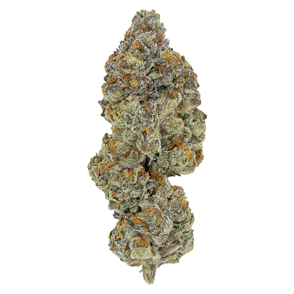 PISTOL AND PARIS LSO BLUEBERRY VENDETTA (IND) DRIED - 7G