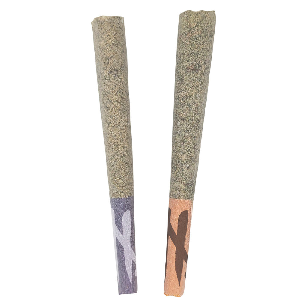 NATURAL HISTORY LIMITED RESERVE (H) PRE-ROLL - 1G X 2