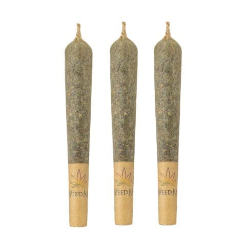 WEED ME JACK HERER (S) PRE-ROLL - 0.5G X 3