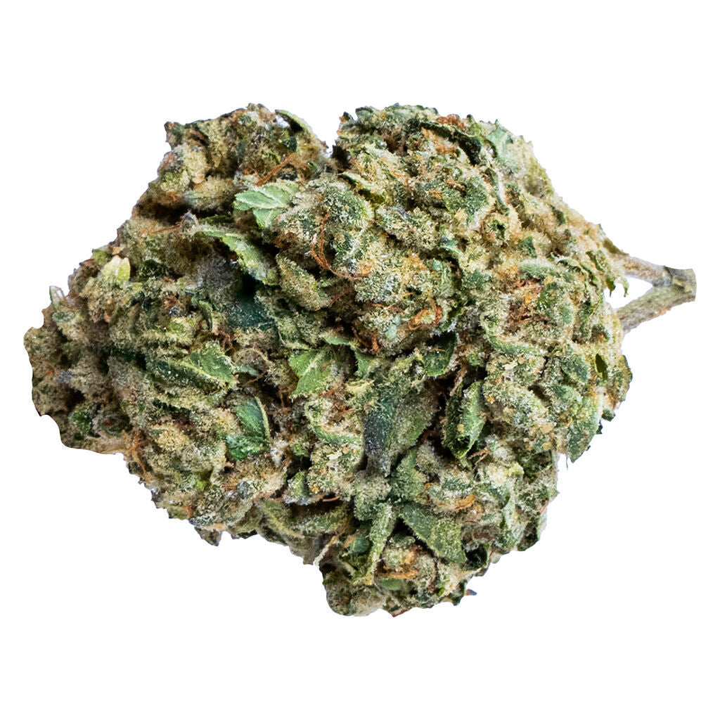 SOAR DEATH PUNCH (IND) DRIED - 7G