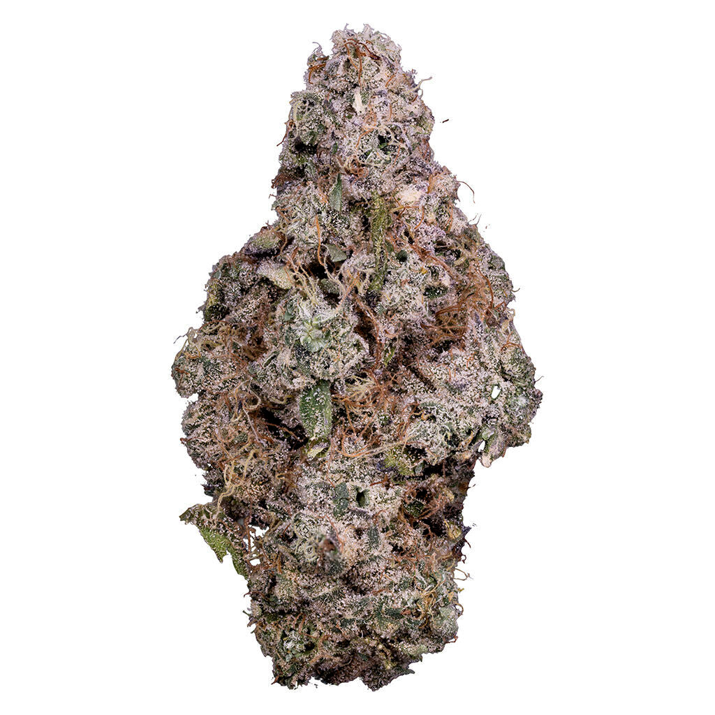 TRIBAL PORTO LECHE (H) DRIED - 3.5G