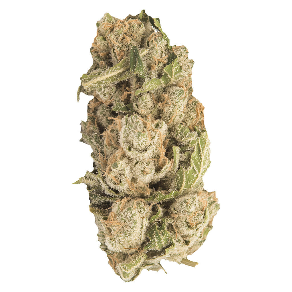 CONTRABAND SHERBLATO (IND) DRIED - 7G