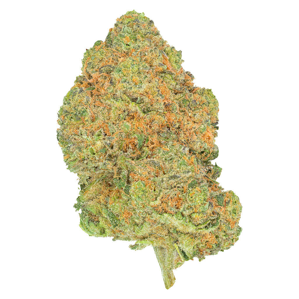 SAN RAFAEL 71 BLACK JELLY (S) DRIED - 7G
