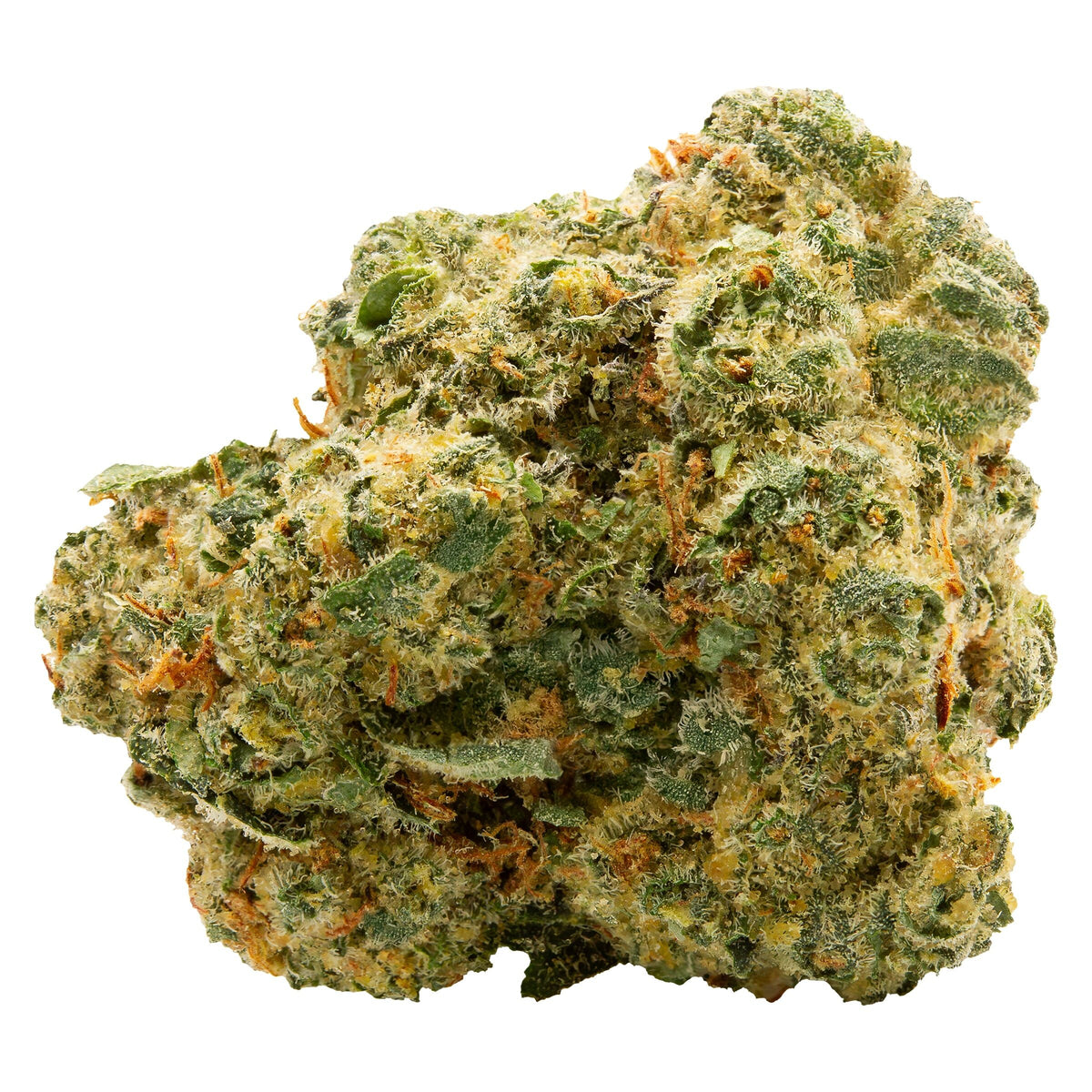 SPINACH BLUE THAI (S) DRIED - 3.5G