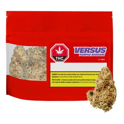 VERSUS PURPLE AFGHANI (IND) DRIED - 7G