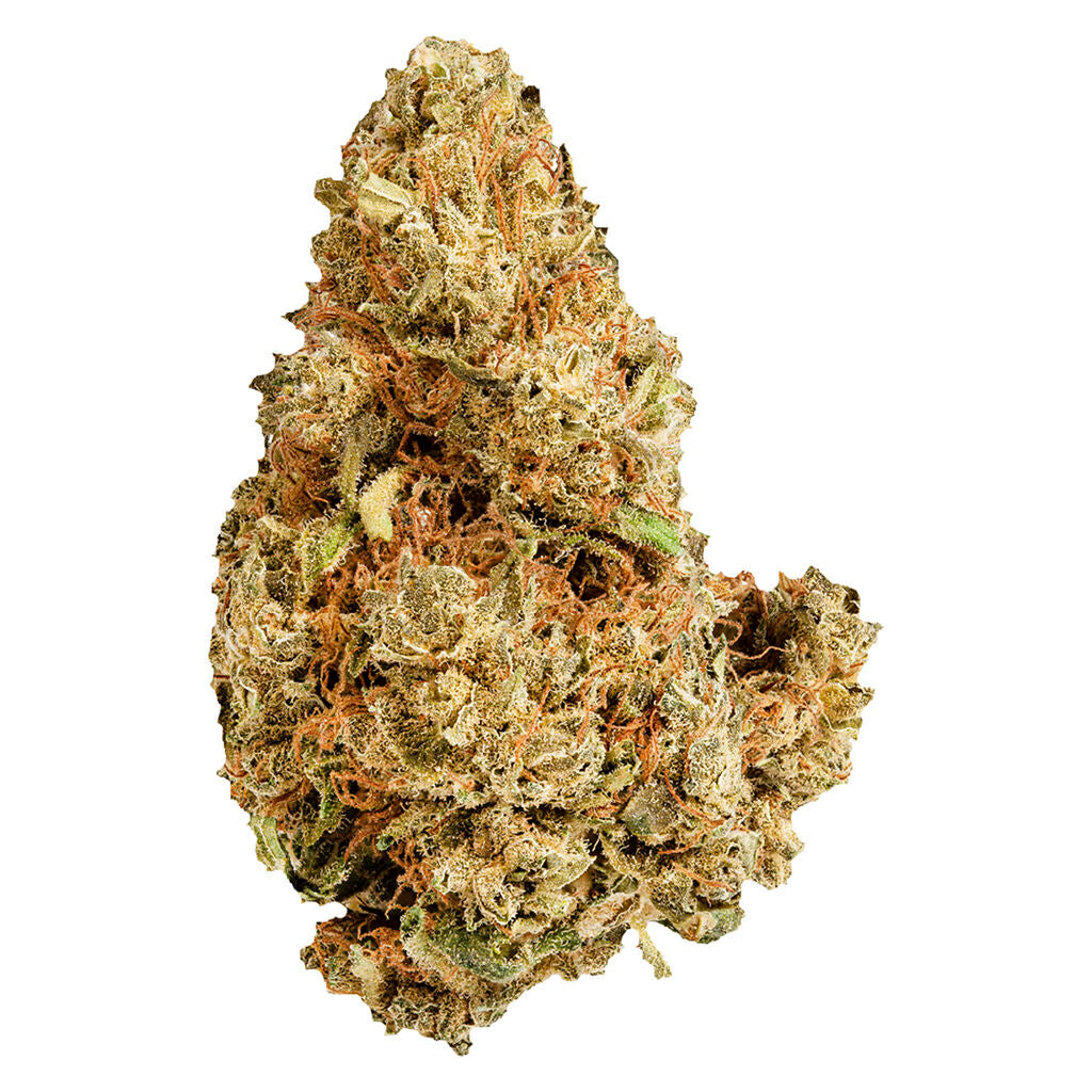 VERSUS PURPLE AFGHANI (IND) DRIED - 7G