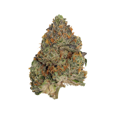 PISTOL AND PARIS BLUE ZUSHI (IND) DRIED - 7G