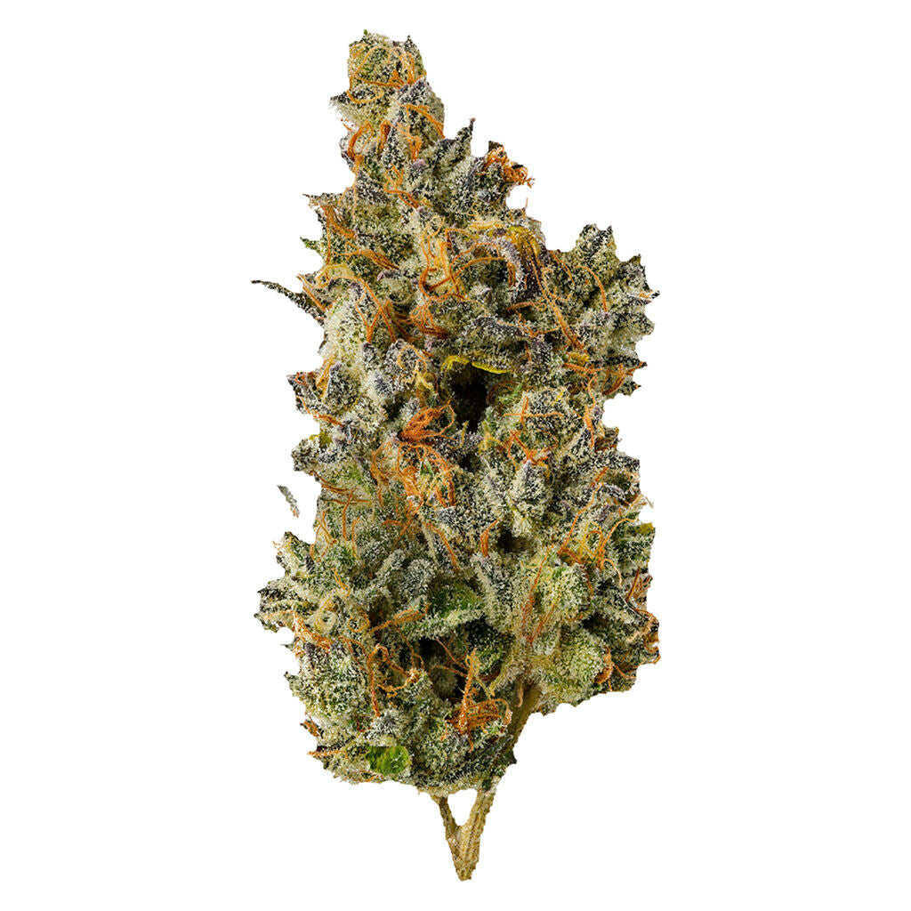 TOP LEAF NAKATOMI PLAZA (IND) DRIED - 7G