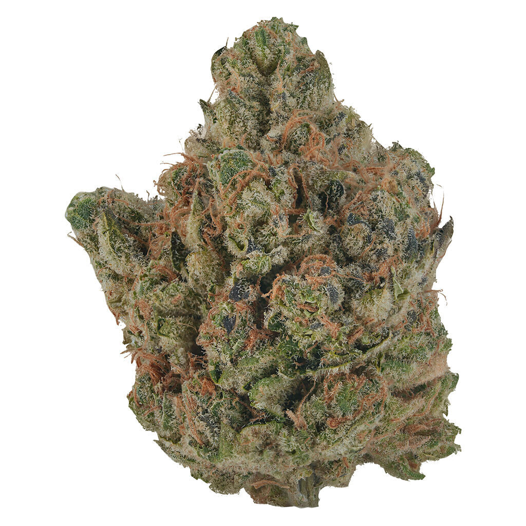 VOLO ORANGE TURPENTINE  (S) DRIED - 14G