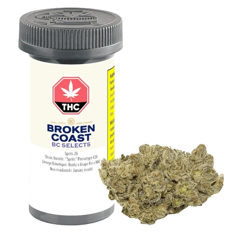 BROKEN COAST BC SELECTS SPIRITS 26 (H) DRIED - 3.5G