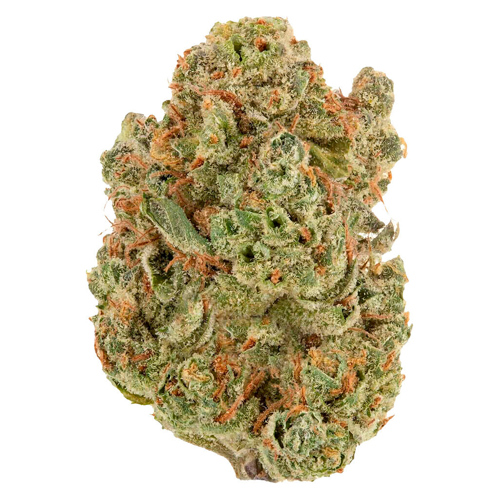 SHEEESH BOUBLE BUBBS (IND) DRIED - 28G