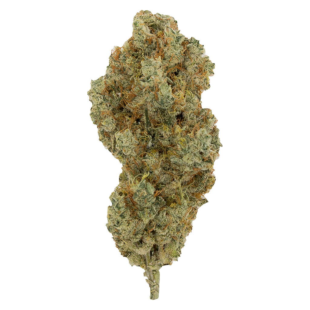 HAPPY HOUR CACTUS MILK (IND) DRIED - 3.5G