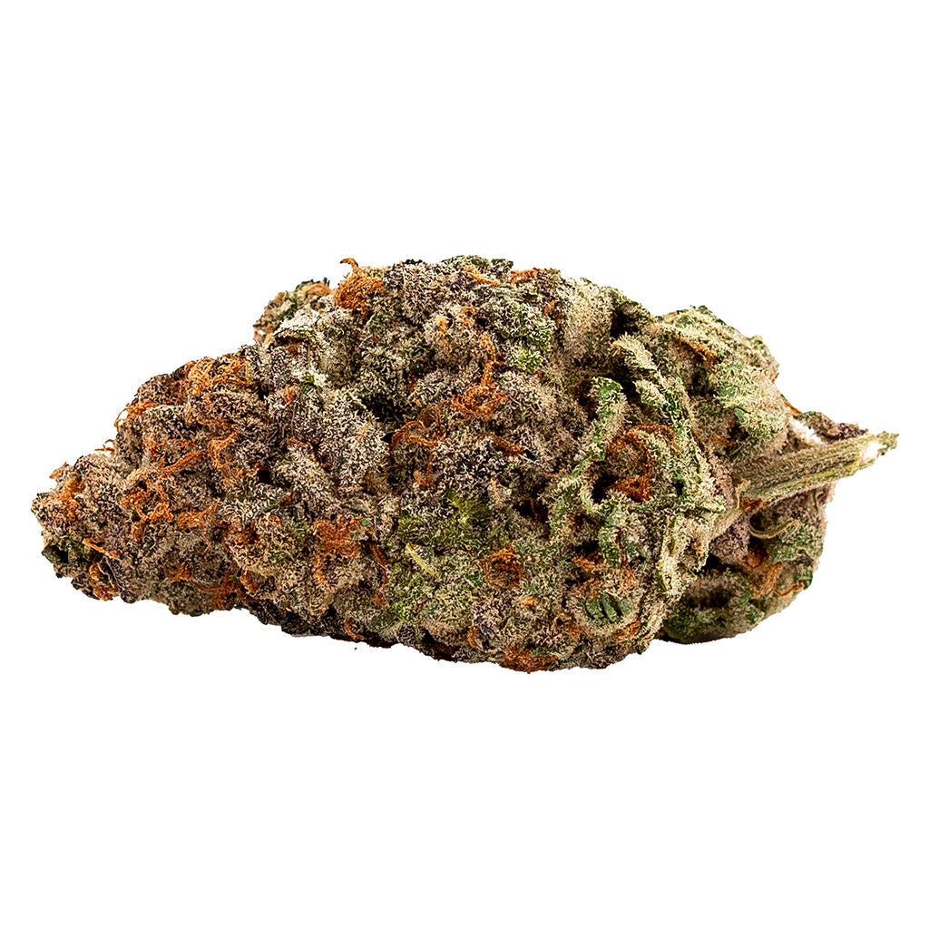 QWEST WHITE WALKER #1 (S) DRIED - 7G