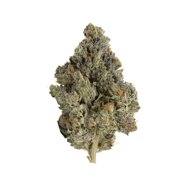 PISTOL AND PARIS MASTER KUSH ULTRA (IND) DRIED - 3.5G