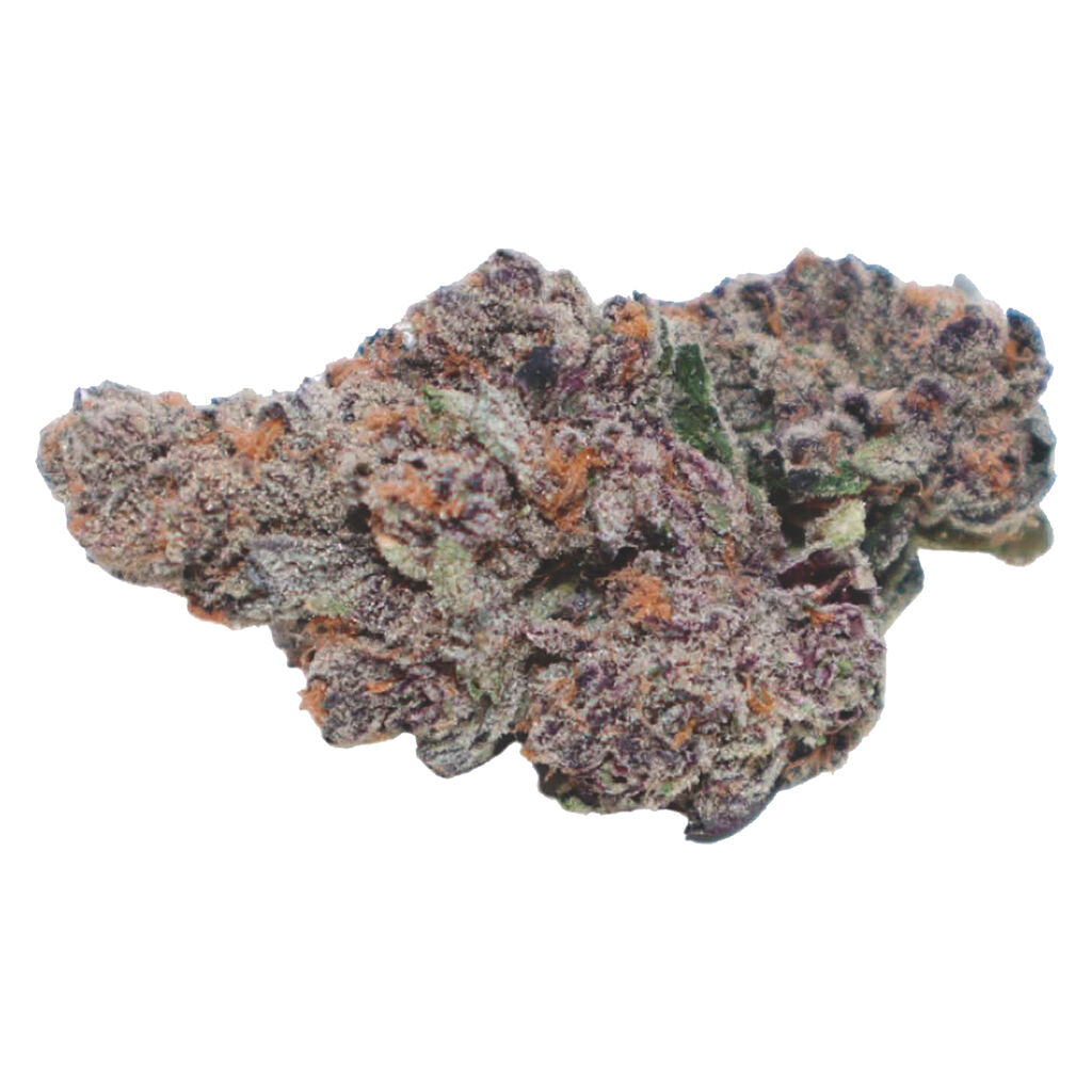 VALHALLA FLWR RAINBOW LAVA (H) DRIED - 14G