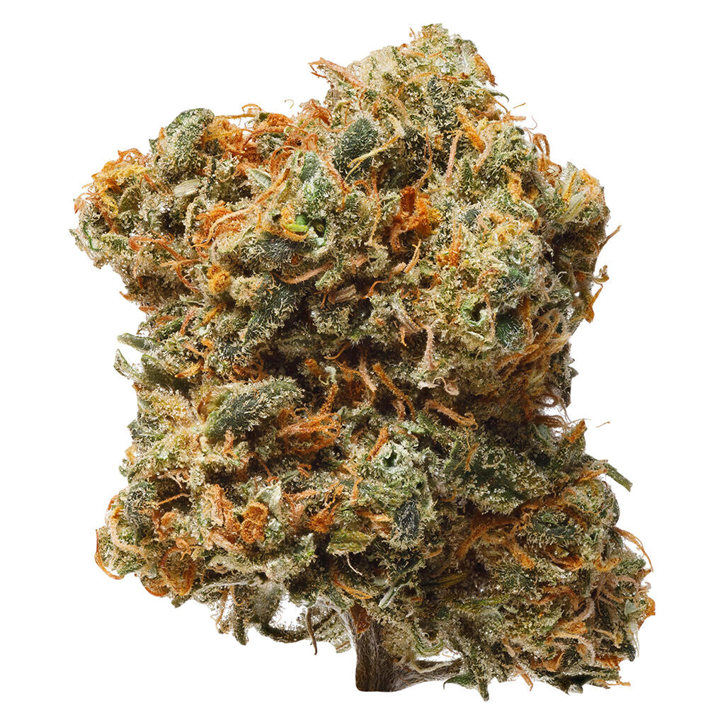 1964 BLUE DREAM (S) DRIED - 7G
